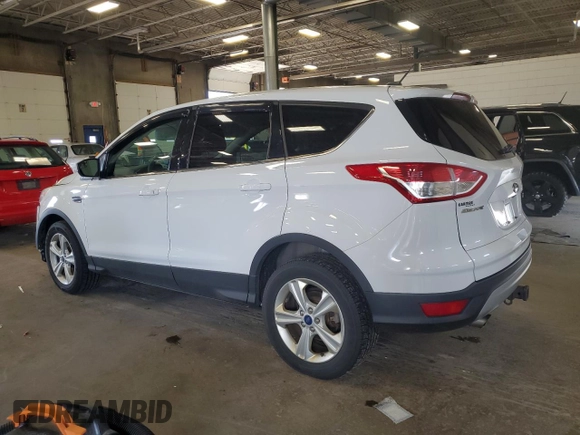 2014 Ford Escape SE z VIN 1FMCU9G99EUC65683, wystawiony jako Copart lot #60923565 z przebiegiem 195 340 mil mil oraz Szkoda całkowita • Salvage title. Historia ofert i sprzedaży dostępna na DreamBid. Obrazek 2.