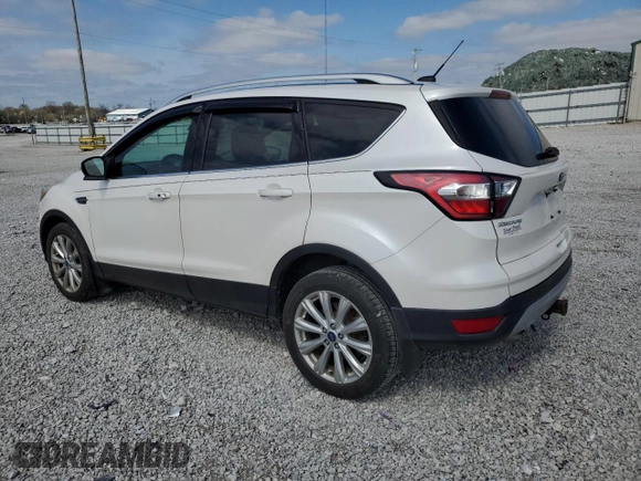 2017 Ford Escape Titanium with VIN 1FMCU0J92HUD75757, listed as a Copart auction lot 51003895 with 119,143 mi miles and Salvage Title. Bid and sale history available at DreamBid. Image 2.