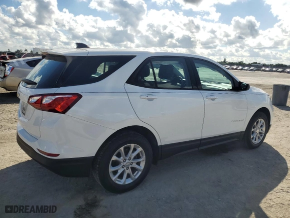 2019 Chevrolet Equinox LS with VIN 3GNAXHEV0KS663641, listed as a Copart auction lot 45032205 with 55,880 mi miles and Salvage Title. Bid and sale history available at carsss.com. Image 3.