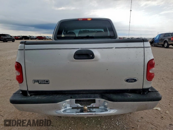 1999 Ford F-150 with VIN 1FTRX07W0XKB88434, listed as a Copart auction lot 60063135 with 277,188 mi miles and Salvage title. Bid and sale history available at DreamBid. Image 6.