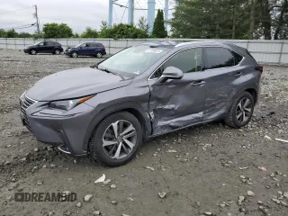 2019 Lexus NX 300 with VIN JTJBARBZ5K2202617, listed as a Copart auction lot 61109075 with 45,359 mi miles and Salvage title. Bid and sale history available at DreamBid. Image 1.