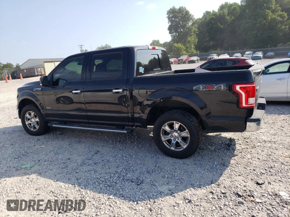 2015 Ford F-150 XLT with VIN 1FTEW1EP0FKF00544, listed as a Copart auction lot 62571615 with 233,318 mi miles and Salvage title. Bid and sale history available at DreamBid. Image 2.