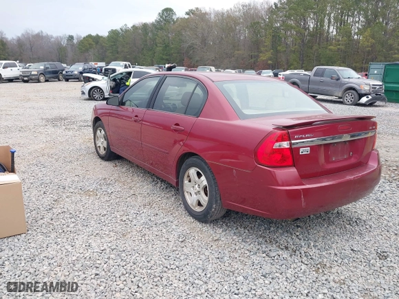 2004 Chevrolet Malibu LT with VIN 1G1ZU54894F245335, listed as a IAAI auction lot 41310773 with 318,783 mi miles. Bid and sale history available at carsss.com. Image 3.