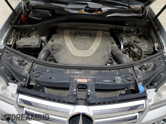 2010 Mercedes-Benz GL 450 with VIN 4JGBF7BE3AA579663, listed as a Copart auction lot 79842564 with 161,162 mi miles and Salvage Title. Bid and sale history available at DreamBid. Image 12.