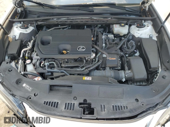 2022 Lexus ES 300h F Sport with VIN 58AGA1C15NU024210, listed as a Copart auction lot 60349895 with 134,663 mi miles and Salvage title. Bid and sale history available at DreamBid. Image 11.