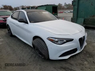 2019 Alfa Romeo Giulia Ti Sport with VIN ZARFAMBN1K7604602, listed as a Copart auction lot 65885482 with 65,701 mi miles. Bid and sale history available at carsss.com. Image 1.