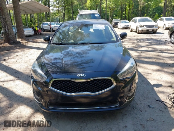 2015 Kia Cadenza Premium z VIN KNALN4D77F5177893, wystawiony jako IAAI lot #42261570 z przebiegiem 107 396 mil mil oraz . Historia ofert i sprzedaży dostępna na DreamBid. Obrazek 12.