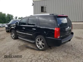 2009 Cadillac Escalade z VIN 1GYFK232X9R222805, wystawiony jako Copart lot #74202924 z przebiegiem 253 955 mil mil oraz Szkoda całkowita • Salvage title. Historia ofert i sprzedaży dostępna na DreamBid. Obrazek 2.