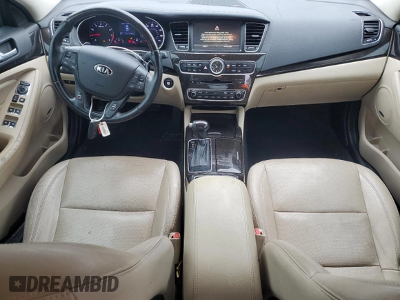 2014 Kia Cadenza Premium with VIN KNALN4D71E5160571, listed as a Copart auction lot 79524064 with 172,395 mi miles and Salvage Title. Bid and sale history available at carsss.com. Image 8.