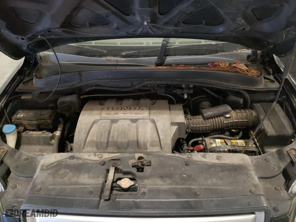 2006 Honda Pilot EX with VIN 5FNYF18476B017192, listed as a Copart auction lot 76064484 with 0 mi miles and Non Repairable. Bid and sale history available at carsss.com. Image 12.