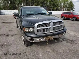 2002 Dodge 1500 z VIN 1D7HU18Z32J255342, wystawiony jako Copart lot #51678385 z przebiegiem 195 161 mil mil oraz Szkoda całkowita • Salvage title. Historia ofert i sprzedaży dostępna na DreamBid. Obrazek 11.