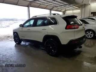 2016 Jeep Cherokee Latitude with VIN 1C4PJLCS2GW191793, listed as a Copart auction lot 48068385 with 170,120 mi miles and Salvage Title. Bid and sale history available at carsss.com. Image 2.