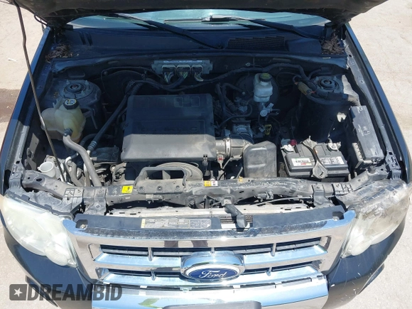 2011 Ford Escape Limited with VIN 1FMCU0EG3BKA16820, listed as a IAAI auction lot 42548445 with 201,721 mi miles and . Bid and sale history available at DreamBid. Image 10.