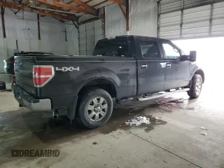 2010 Ford F-150 XL with VIN 1FTFW1EV8AFD31300, listed as a Copart auction lot 45961935 with Not Provided miles and Salvage Title. Bid and sale history available at DreamBid. Image 3.