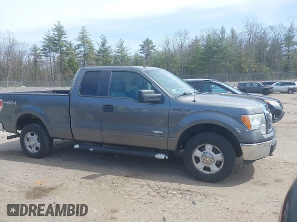 2011 Ford F-150 XL with VIN 1FTFX1ET5BFB49485, listed as a IAAI auction lot 42074270 with 206,090 mi miles. Bid and sale history available at carsss.com. Image 6.