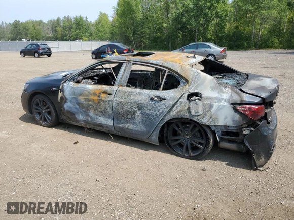 2020 Acura TLX w/Advance Pkg with VIN 19UUB3F82LA801832, listed as a Copart auction lot 65705254 with 0 mi miles and Non Repairable. Bid and sale history available at carsss.com. Image 2.