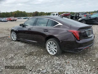 2021 Cadillac CT5 Luxury with VIN 1G6DW5RK0M0118012, listed as a Copart auction lot 78500434 with Not Provided miles and Salvage Title. Bid and sale history available at DreamBid. Image 2.
