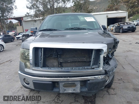 2010 Ford F-150 XL with VIN 1FTEW1C87AKB05460, listed as a IAAI auction lot 41734786 with 198,395 mi miles. Bid and sale history available at carsss.com. Image 13.