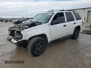 2007 Chevrolet TrailBlazer LS with VIN 1GNDS13S572165188, listed as a Copart auction lot 89381025 with Not Provided miles and Salvage Title. Bid and sale history available at DreamBid. Image 1.