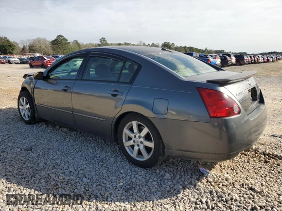 2005 Nissan Maxima 3.5 SL with VIN 1N4BA41E15C868995, listed as a Copart auction lot 45282975 with 132,943 mi miles and Salvage Title. Bid and sale history available at carsss.com. Image 2.