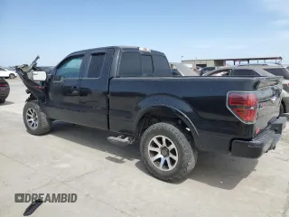 2014 Ford F-150 z VIN 1FTFX1E6XEFA37795, wystawiony jako Copart lot #49431105 z przebiegiem 136 250 mil mil oraz Szkoda całkowita • Salvage title. Historia ofert i sprzedaży dostępna na DreamBid. Obrazek 2.