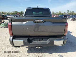 2023 Toyota Tundra 1794 Edition with VIN 5TFMA5AB1PX020609, listed as a Copart auction lot 78865424 with Not provided miles and Non repairable. Bid and sale history available at DreamBid. Image 6.