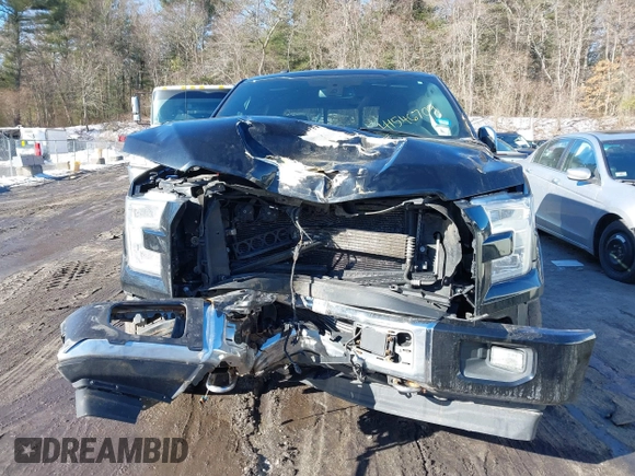2017 Ford F-150 XL with VIN 1FTEW1EGXHFB14984, listed as a IAAI auction lot 41546709 with 132,132 mi miles. Bid and sale history available at carsss.com. Image 6.