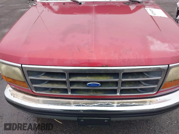1995 Ford F-150 with VIN 1FTDF15Y2SNA75230, listed as a IAAI auction lot 42364059 with Not provided miles and . Bid and sale history available at DreamBid. Image 10.