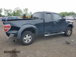 2010 Ford F-150 XL with VIN 1FTFX1EV3AFA54987, listed as a Copart auction lot 56872645 with 200,277 mi miles and Salvage title. Bid and sale history available at DreamBid. Image 3.