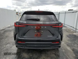 2023 Lexus NX with VIN 2T2ADCAZ3PC005485, listed as a Copart auction lot 73974274 with 15,932 mi miles and Non Repairable. Bid and sale history available at carsss.com. Image 6.