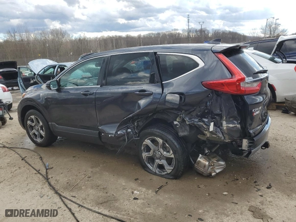 2019 Honda CR-V EX-L with VIN 5J6RW2H88KL021993, listed as a Copart auction lot 46496295 with 37,646 mi miles and Salvage Title. Bid and sale history available at carsss.com. Image 2.