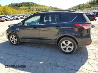 2014 Ford Escape SE with VIN 1FMCU9GX1EUB06543, listed as a Copart auction lot 75326984 with 119,881 mi miles and Salvage title. Bid and sale history available at DreamBid. Image 2.