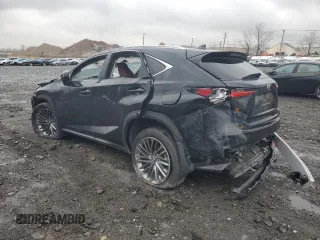 2021 Lexus NX 300 с VIN JTJDARDZ5M5031813, выставлен на аукционе Copart как лот 46487825 с пробегом 23 202 миль миль и Списание • Salvage title. История ставок и продаж доступна на DreamBid. Изображение 2.