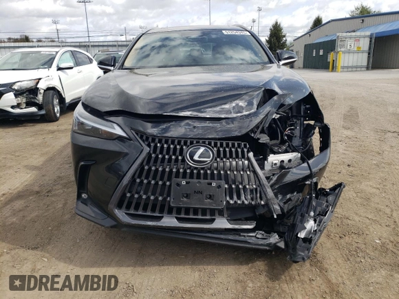 2024 Lexus NX with VIN 2T2GGCEZ7RC042957, listed as a Copart auction lot 51254345 with 31,315 mi miles and Salvage Title. Bid and sale history available at carsss.com. Image 5.