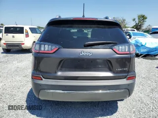 2019 Jeep Cherokee Limited z VIN 1C4PJLDB5KD488351, wystawiony jako Copart lot #54566905 z przebiegiem 55 889 mil mil oraz Nie do naprawy • Non repairable. Historia ofert i sprzedaży dostępna na DreamBid. Obrazek 6.