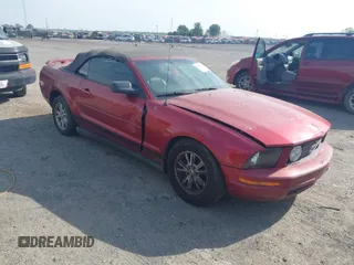 2006 Ford Mustang Standard with VIN 1ZVFT84N365190097, listed as a IAAI auction lot 42015242 with Not Provided miles and . Bid and sale history available at carsss.com. Image 1.