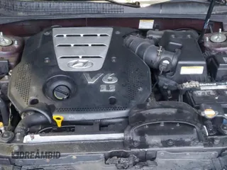 2006 Hyundai Sonata GLS with VIN 5NPEU46F16H027314, listed as a Copart auction lot 52328205 with 144,038 mi miles and Salvage Title. Bid and sale history available at DreamBid. Image 11.