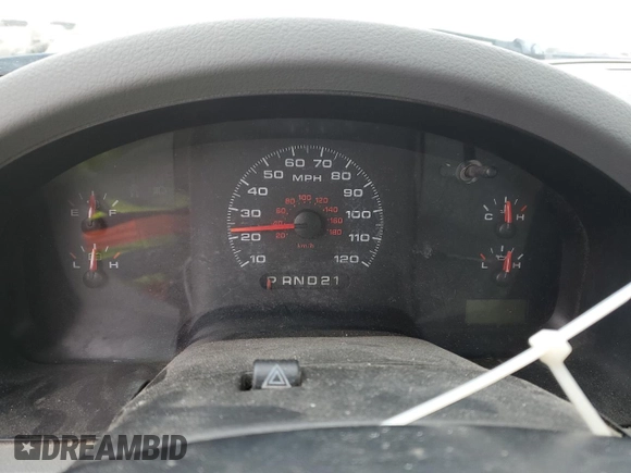 2006 Ford F-150 STX with VIN 1FTRX14W76NB40887, listed as a Copart auction lot 45031305 with 0 mi miles and Salvage Title. Bid and sale history available at carsss.com. Image 9.