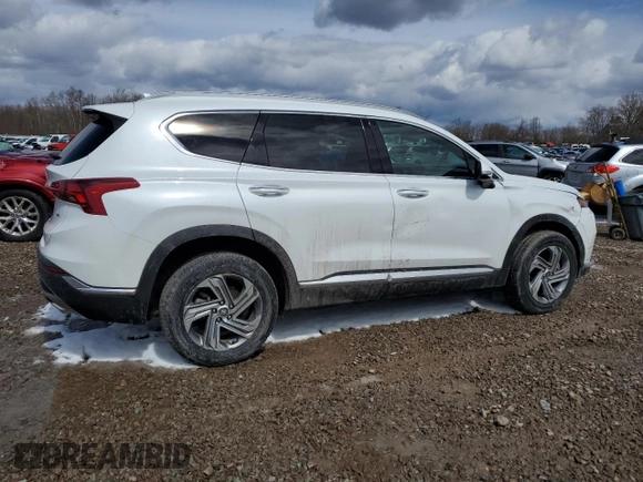 2022 Hyundai Santa Fe SEL with VIN 5NMS6DAJ6NH411044, listed as a Copart auction lot 52317385 with 44,482 mi miles and Salvage Title. Bid and sale history available at carsss.com. Image 3.
