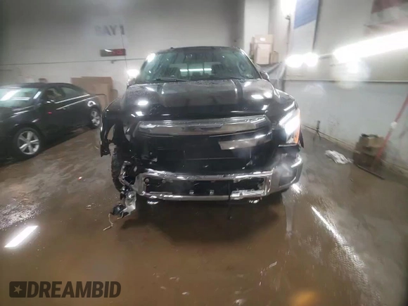 2016 Ford F-150 XLT with VIN 1FTFW1EF2GKE70749, listed as a Copart auction lot 49528885 with 118,964 mi miles and Salvage Title. Bid and sale history available at carsss.com. Image 13.