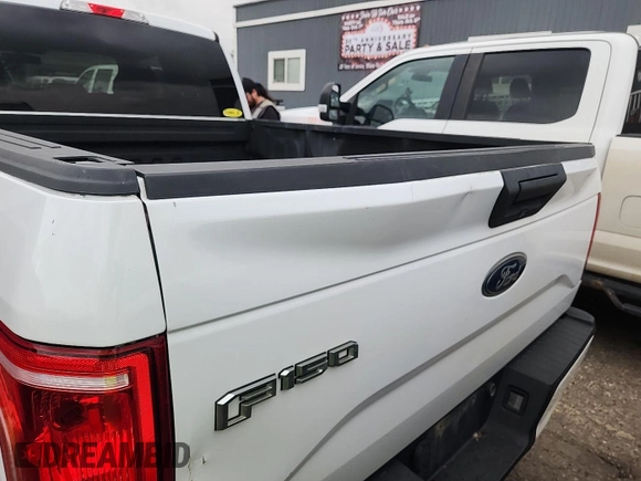 2017 Ford F-150 XL with VIN 1FTEX1EP0HKD42206, listed as a IAAI auction lot 42793663 with 188,845 mi miles and . Bid and sale history available at DreamBid. Image 5.