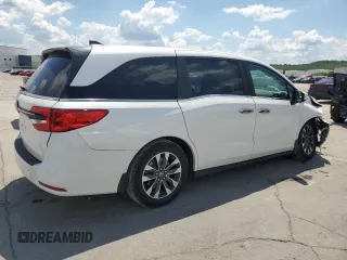 2024 Honda Odyssey EX-L с VIN 5FNRL6H62RB034417, выставлен на аукционе Copart как лот 56481825 с пробегом 13 454 миль миль и Списание • Salvage title. История ставок и продаж доступна на DreamBid. Изображение 3.