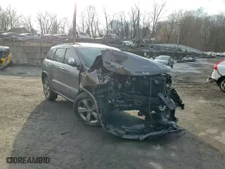 2014 Jeep Grand Cherokee Overland with VIN 1C4RJFCT0EC237333, listed as a Copart auction lot 46659195 with 0 mi miles and Salvage Title. Bid and sale history available at carsss.com. Image 11.
