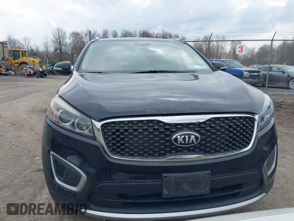 2017 Kia Sorento LX with VIN 5XYPGDA32HG211717, listed as a IAAI auction lot 42081818 with 134,306 mi miles and . Bid and sale history available at DreamBid. Image 12.