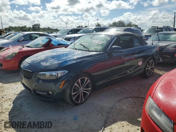 2016 BMW 2 Series 228i with VIN WBA1K9C51GV710478, listed as a Copart auction lot 74234684 with 0 mi miles and Non Repairable. Bid and sale history available at carsss.com. Image 1.