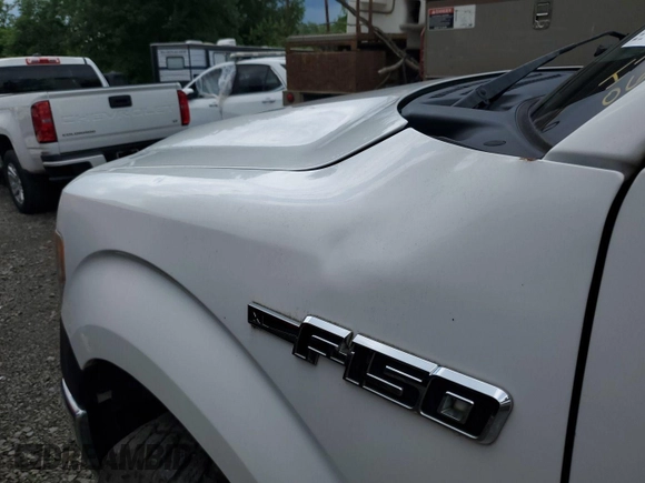 2013 Ford F-150 XL z VIN 1FTEX1EM7DKF27157, wystawiony jako IAAI lot #42786348 z przebiegiem 157 918 mil mil oraz . Historia ofert i sprzedaży dostępna na DreamBid. Obrazek 4.