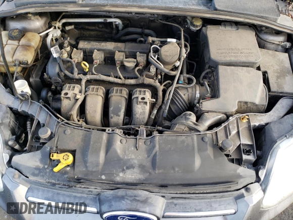 2014 Ford Focus SE with VIN 1FADP3F24EL312227, listed as a Copart auction lot 49362155 with 195,440 mi miles and Clean Title. Bid and sale history available at carsss.com. Image 11.