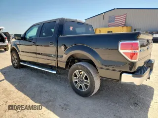 2010 Ford F-150 XL with VIN 1FTEW1C86AFC56413, listed as a Copart auction lot 61371355 with 251,151 mi miles and Salvage title. Bid and sale history available at DreamBid. Image 2.