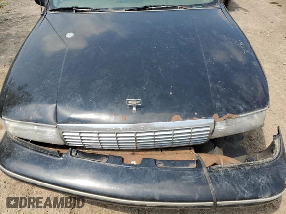 1996 Chevrolet Caprice 1SA Special Value with VIN 1G1BL52P2TR181764, listed as a Copart auction lot 63989945 with Not provided miles and Clean title. Bid and sale history available at DreamBid. Image 11.