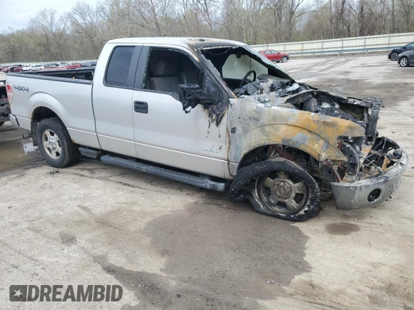 2011 Ford F-150 XL with VIN 1FTFX1ET8BFD05695, listed as a Copart auction lot 53955265 with 0 mi miles and Salvage Title. Bid and sale history available at carsss.com. Image 4.